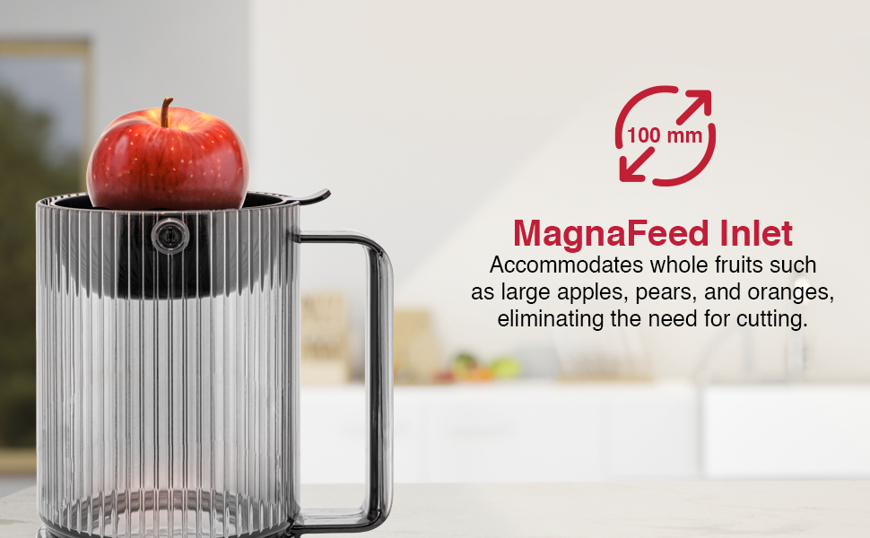 Magnus new 2